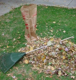 Yard-Waste-Programs